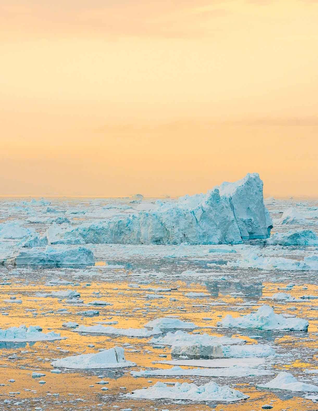 Il continuo scioglimento degli iceberg e dei ghiacci in Groenlandia - foto di Ulrik Pedersen/NurPhoto/REUTERS