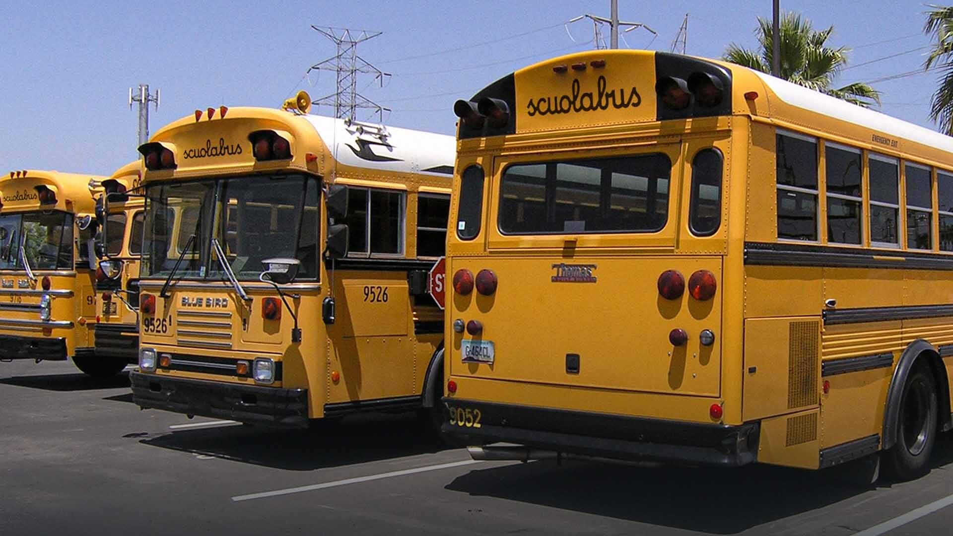 Scuolabus gratis solo se hai un genitore italiano o europeo